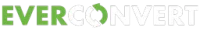 EverConvert Digital Marketing Firm